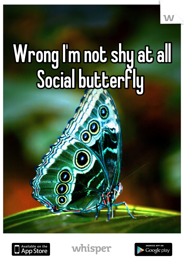 Wrong I'm not shy at all 
Social butterfly 