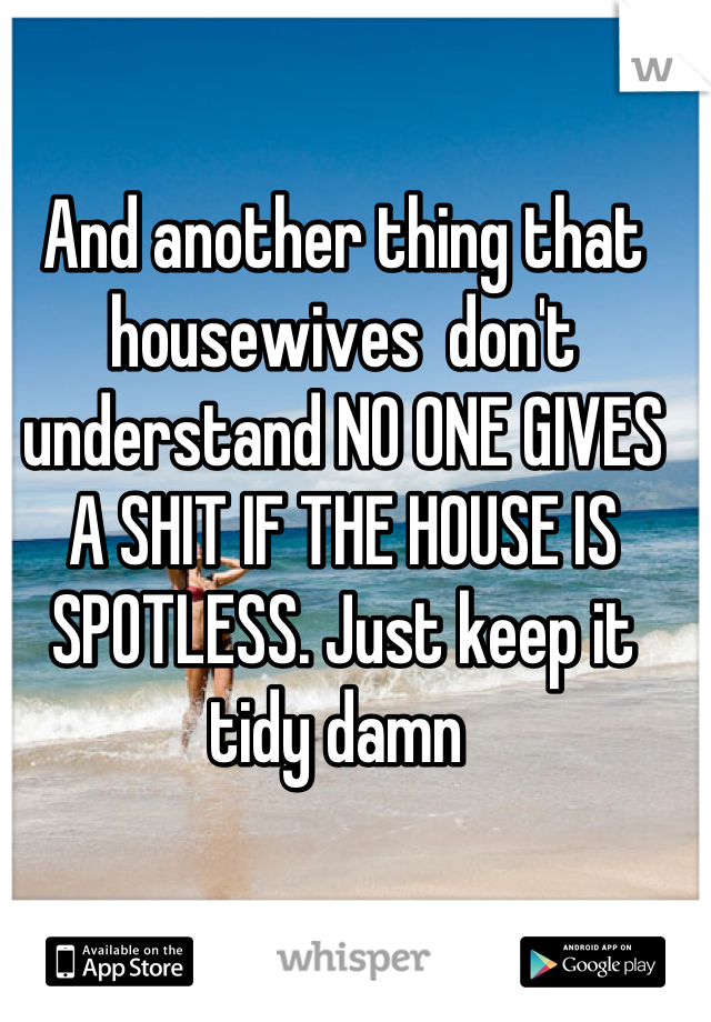 And another thing that housewives  don't understand NO ONE GIVES A SHIT IF THE HOUSE IS SPOTLESS. Just keep it tidy damn 