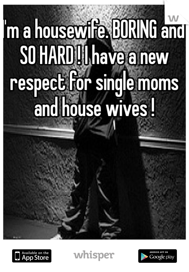 I'm a housewife. BORING and SO HARD ! I have a new respect for single moms and house wives ! 