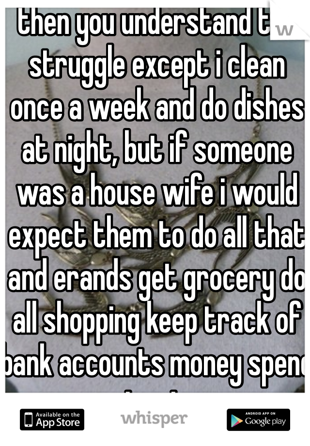 then you understand the struggle except i clean once a week and do dishes at night, but if someone was a house wife i would expect them to do all that and erands get grocery do all shopping keep track of bank accounts money spend etc etc.