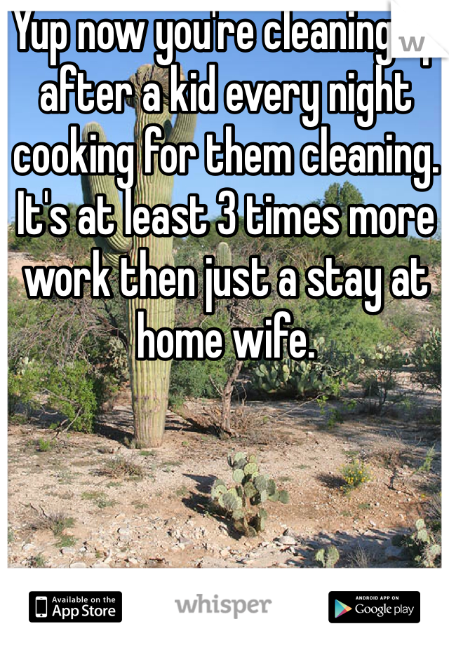 Yup now you're cleaning up after a kid every night cooking for them cleaning. It's at least 3 times more work then just a stay at home wife. 