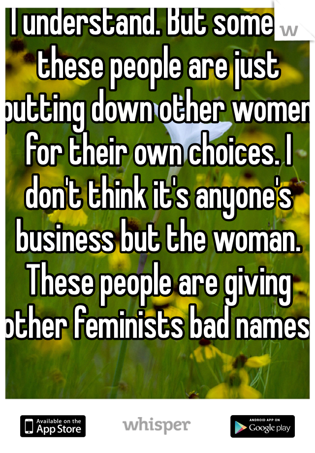 I understand. But some of these people are just putting down other women for their own choices. I don't think it's anyone's business but the woman. These people are giving other feminists bad names.