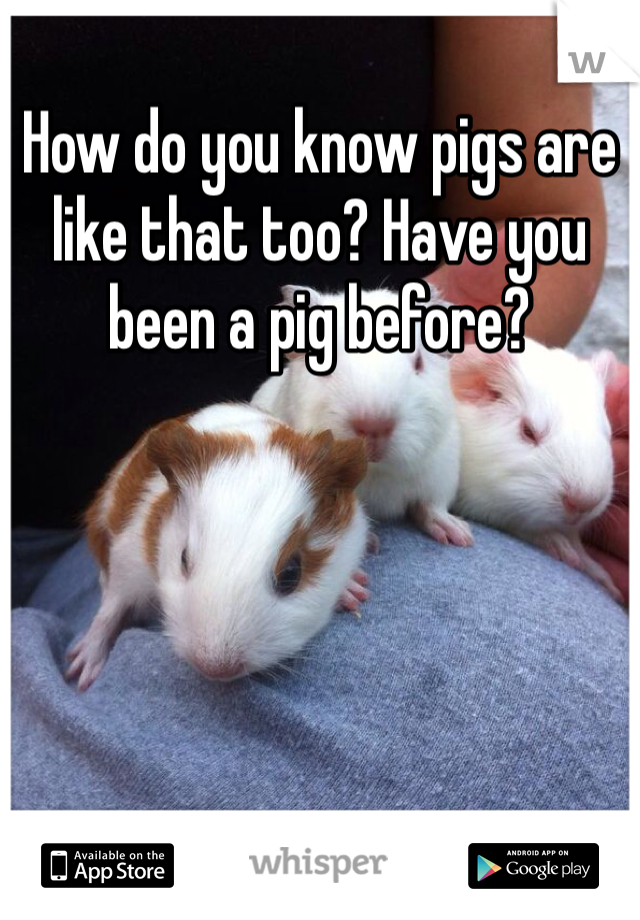 How do you know pigs are like that too? Have you been a pig before? 