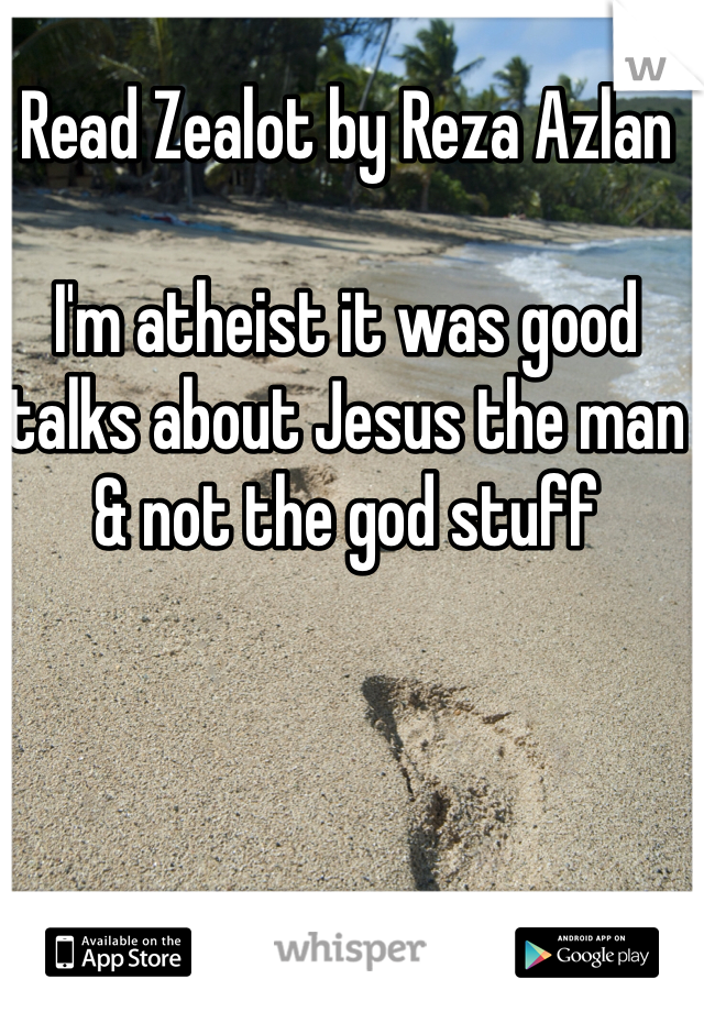 Read Zealot by Reza Azlan

I'm atheist it was good talks about Jesus the man & not the god stuff