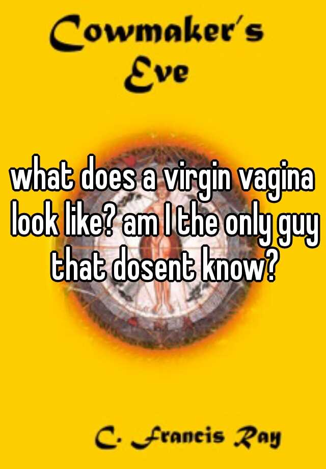 What Does A Virgin Vagina Look Like Am I The Only Guy That Dosent Know