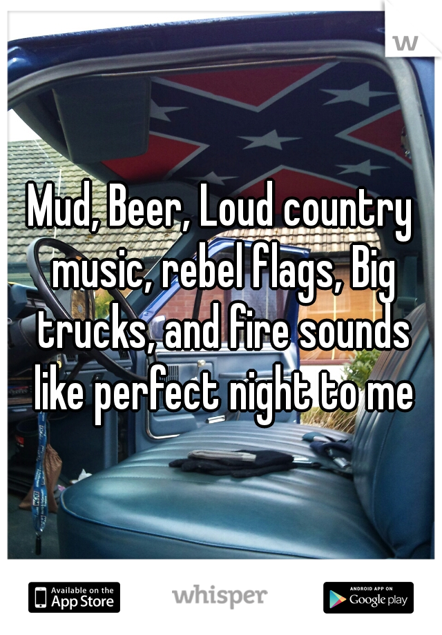 Mud, Beer, Loud country music, rebel flags, Big trucks, and fire sounds like perfect night to me