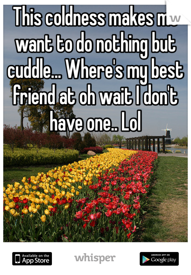 This coldness makes me want to do nothing but cuddle... Where's my best friend at oh wait I don't have one.. Lol