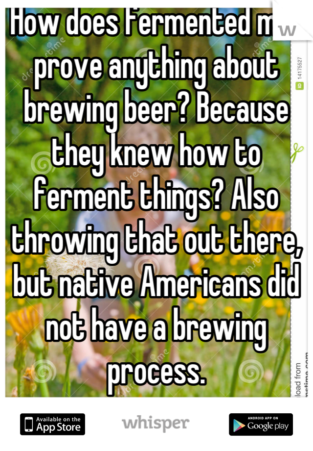 How does fermented milk prove anything about brewing beer? Because they knew how to ferment things? Also throwing that out there, but native Americans did not have a brewing process.