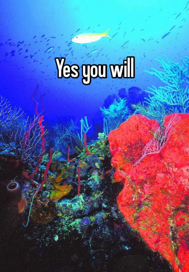 yes-you-will