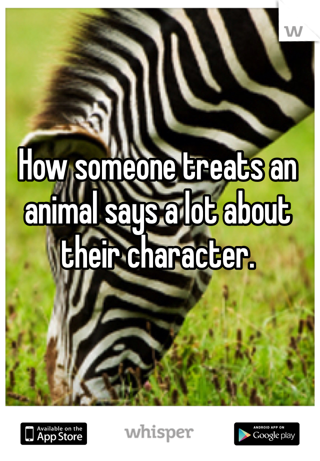 How someone treats an animal says a lot about their character. 