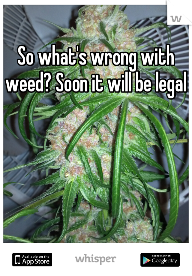 So what's wrong with weed? Soon it will be legal