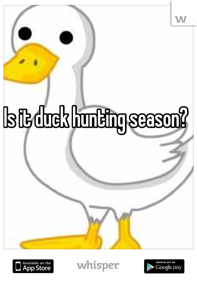 Is it duck hunting season?