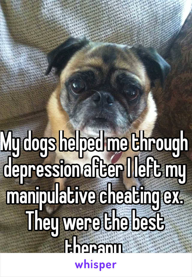 My dogs helped me through depression after I left my manipulative cheating ex. They were the best therapy. 