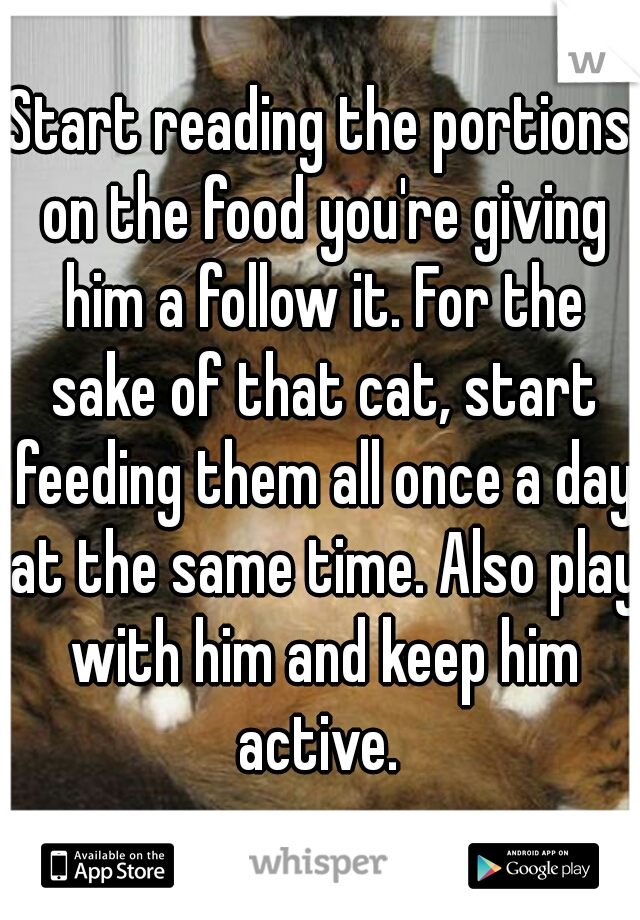 Start reading the portions on the food you're giving him a follow it. For the sake of that cat, start feeding them all once a day at the same time. Also play with him and keep him active. 