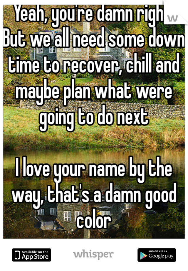 Yeah, you're damn right. But we all need some down time to recover, chill and maybe plan what were going to do next

I love your name by the way, that's a damn good color