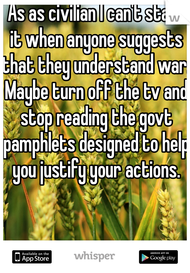 As as civilian I can't stand it when anyone suggests that they understand war. 
Maybe turn off the tv and stop reading the govt pamphlets designed to help you justify your actions. 