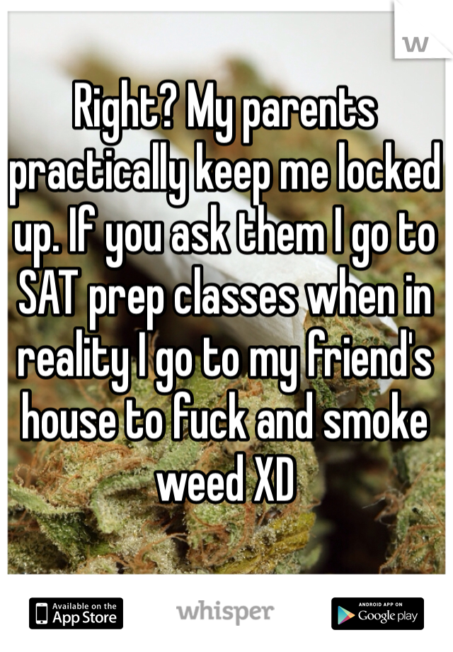 Right? My parents practically keep me locked up. If you ask them I go to SAT prep classes when in reality I go to my friend's house to fuck and smoke weed XD