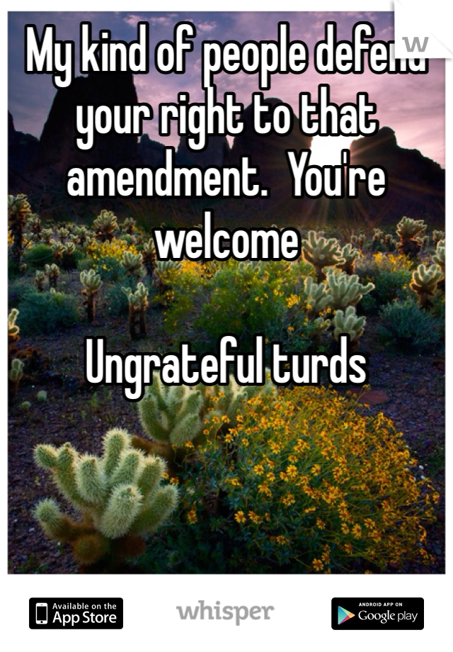 My kind of people defend your right to that amendment.  You're welcome

Ungrateful turds