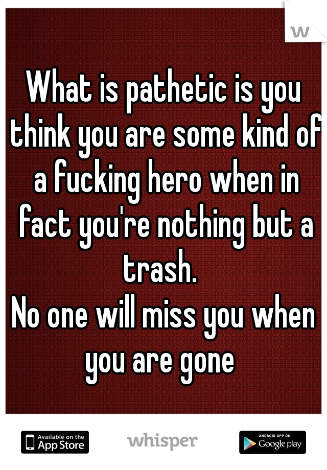 What is pathetic is you think you are some kind of a fucking hero when in fact you're nothing but a trash.  
No one will miss you when you are gone  