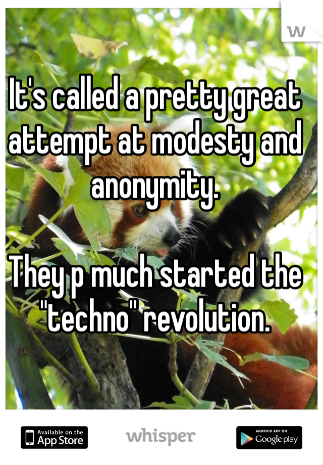 It's called a pretty great attempt at modesty and anonymity. 

They p much started the "techno" revolution.