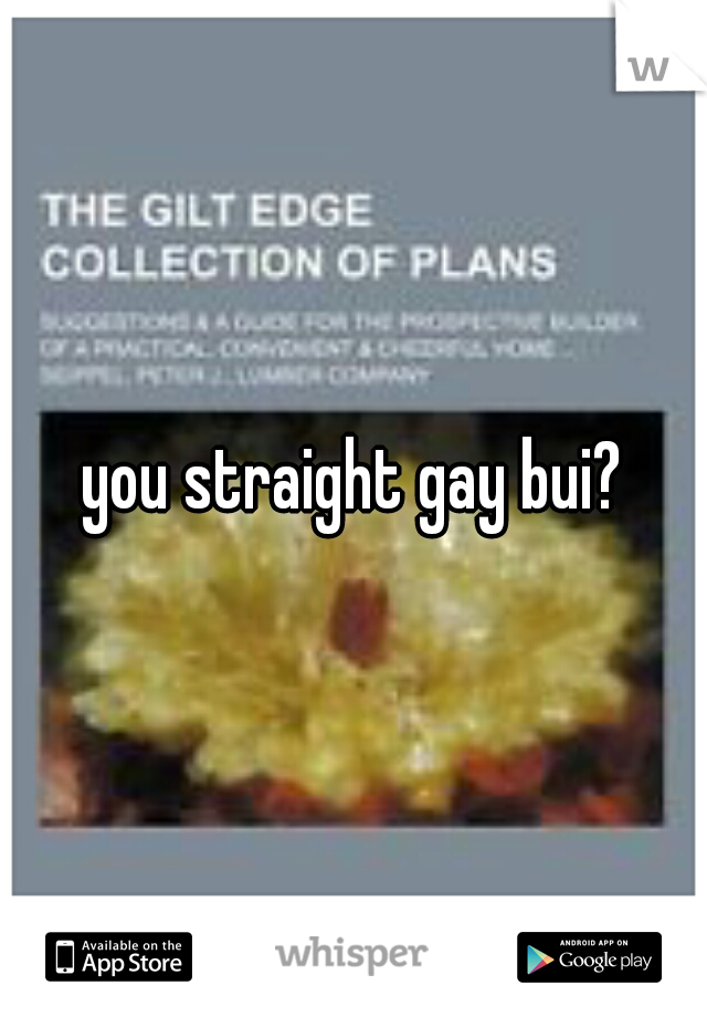you straight gay bui?