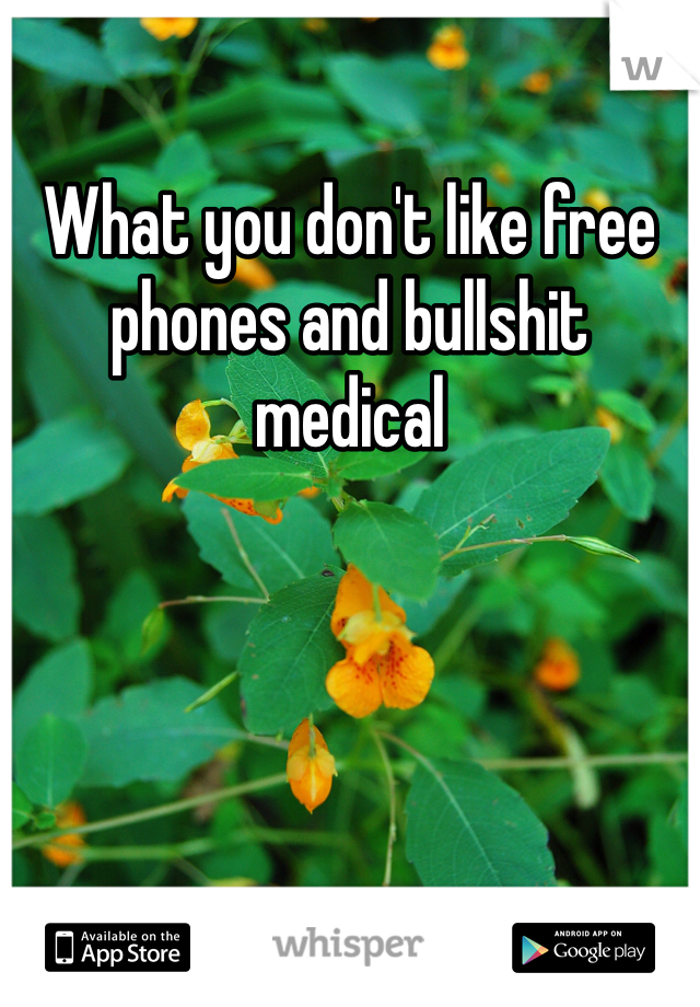 What you don't like free phones and bullshit medical