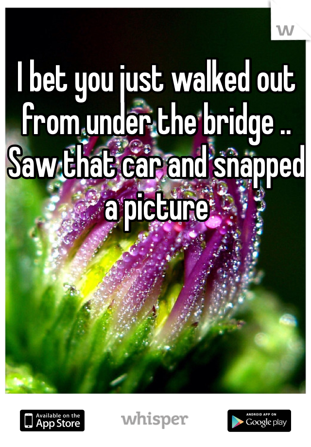 I bet you just walked out from under the bridge .. Saw that car and snapped a picture 