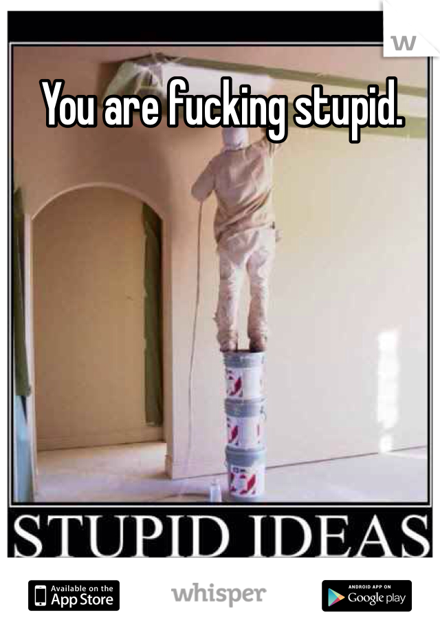 You are fucking stupid.