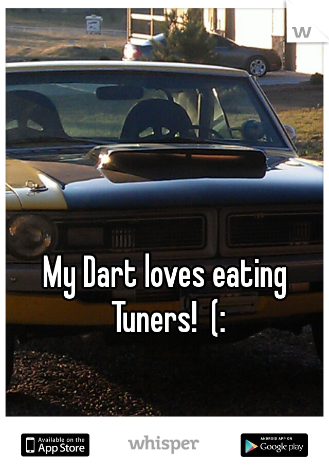 My Dart loves eating Tuners!  (: