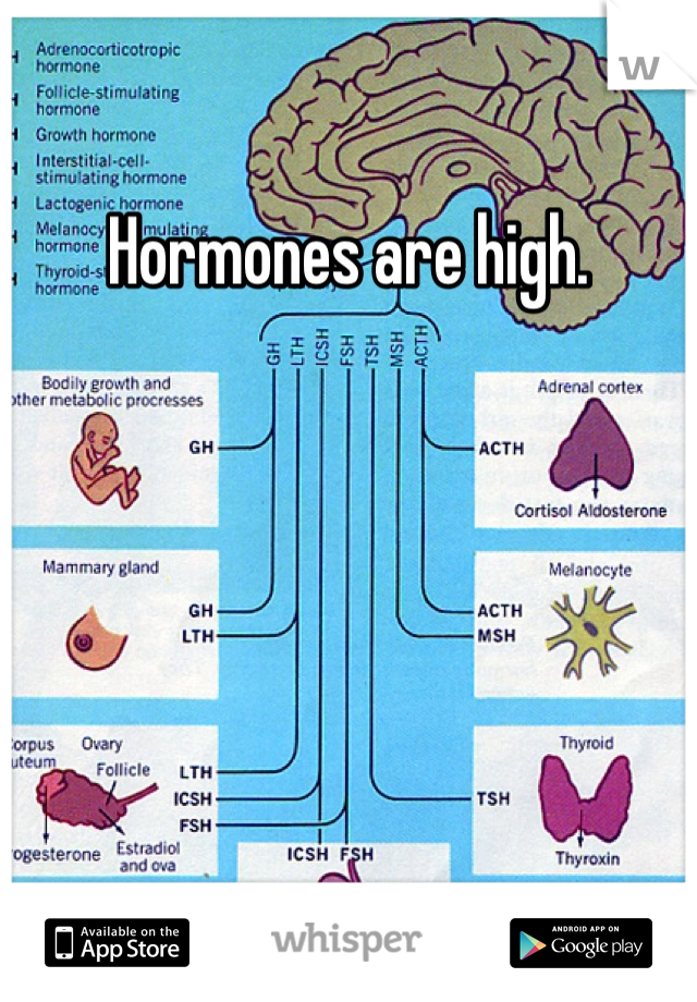 Hormones are high. 