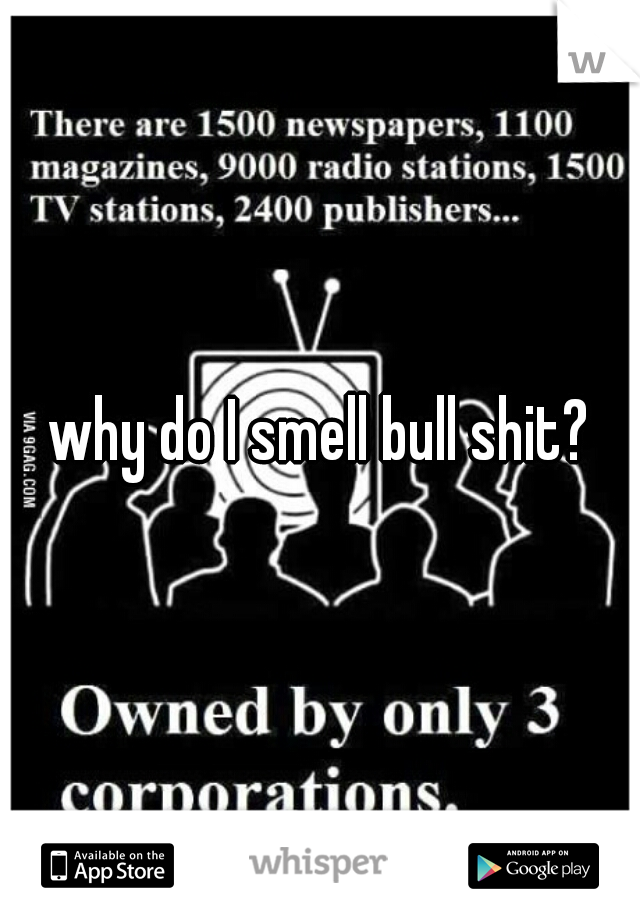 why do I smell bull shit?