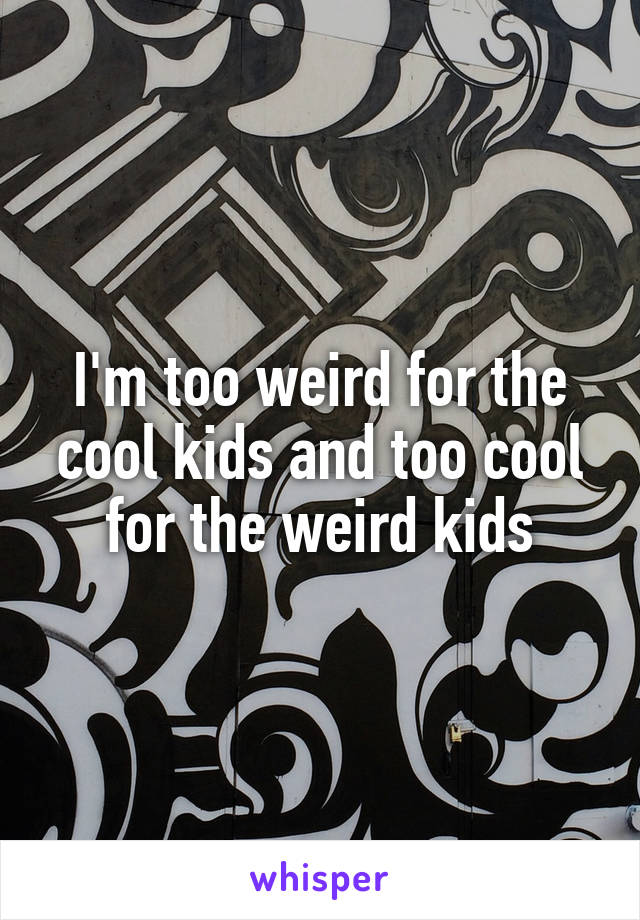 I'm too weird for the cool kids and too cool for the weird kids