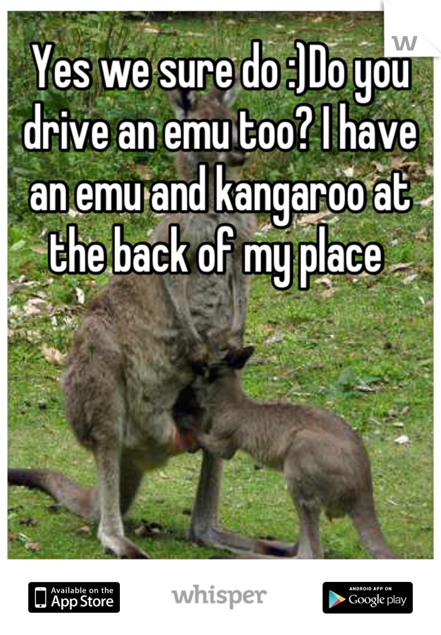 Yes we sure do :)Do you drive an emu too? I have an emu and kangaroo at the back of my place 