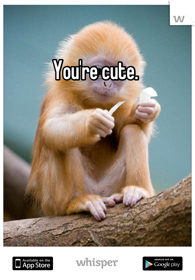 You're cute. 