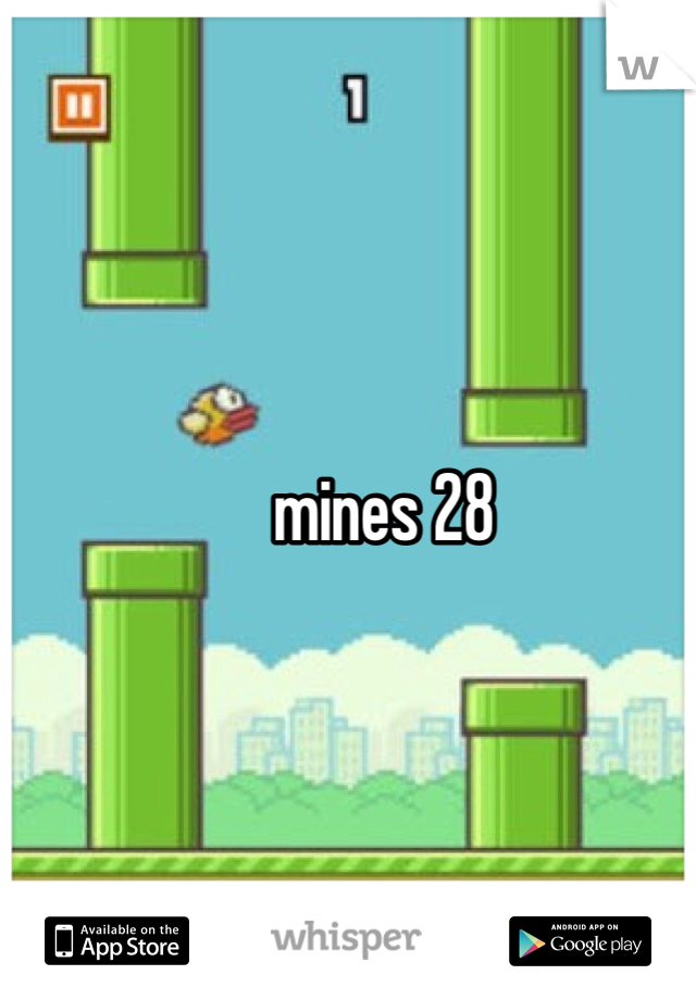 mines 28