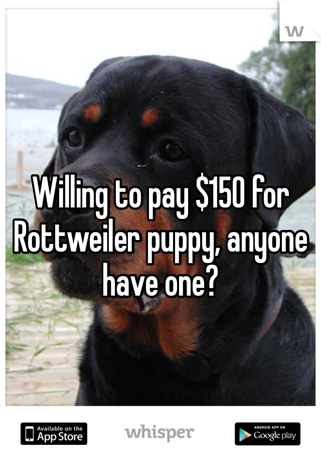 Willing to pay $150 for Rottweiler puppy, anyone have one?