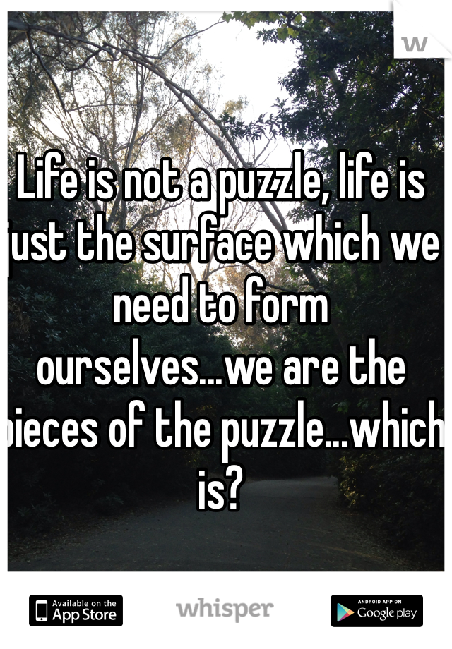 Life is not a puzzle, life is just the surface which we need to form ourselves...we are the pieces of the puzzle...which is?
