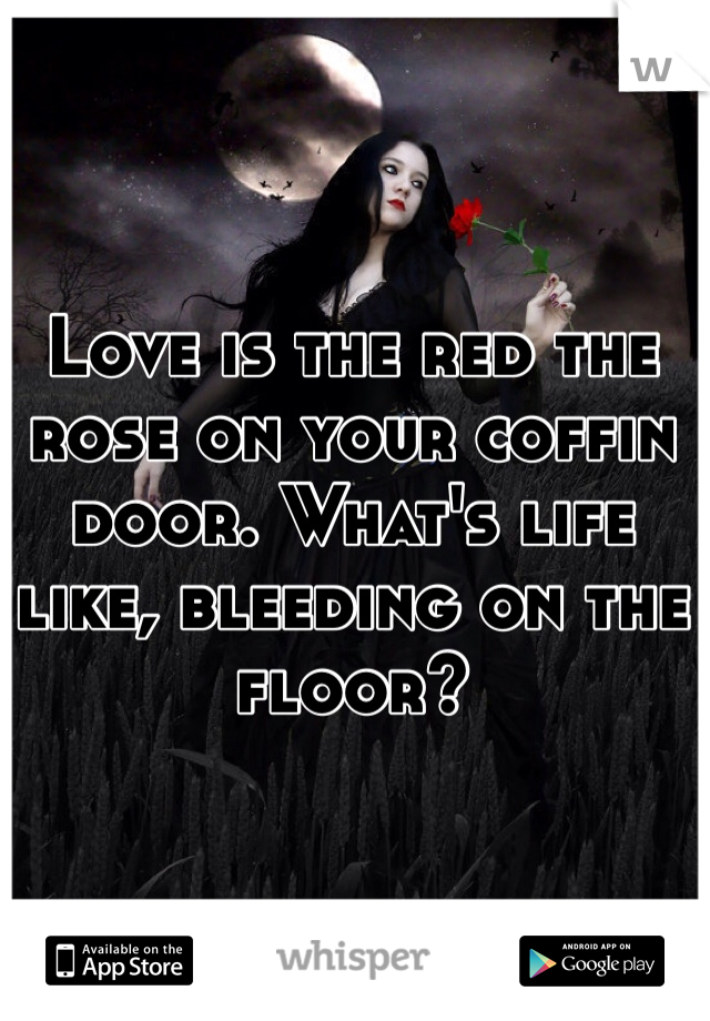 Love is the red the rose on your coffin door. What's life like, bleeding on the floor? 