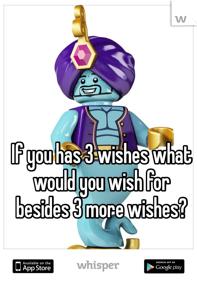If you has 3 wishes what would you wish for besides 3 more wishes?