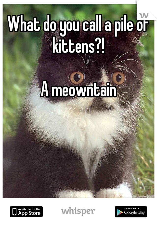 What do you call a pile of kittens?!

A meowntain