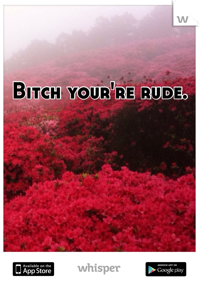 Bitch your're rude.