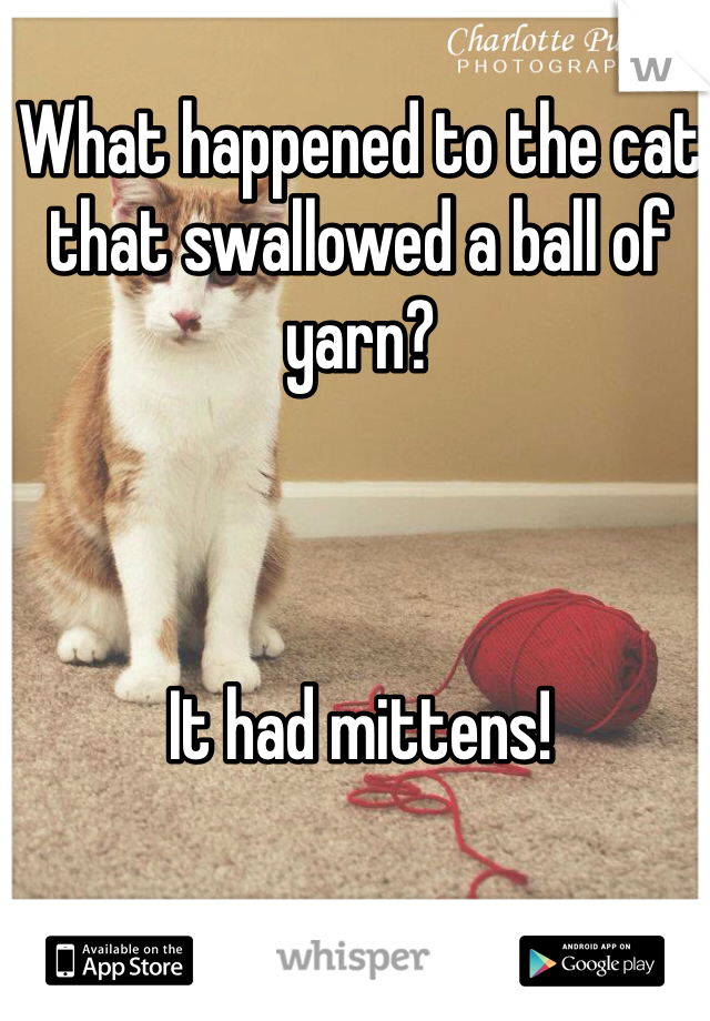 What happened to the cat that swallowed a ball of yarn? 



It had mittens! 