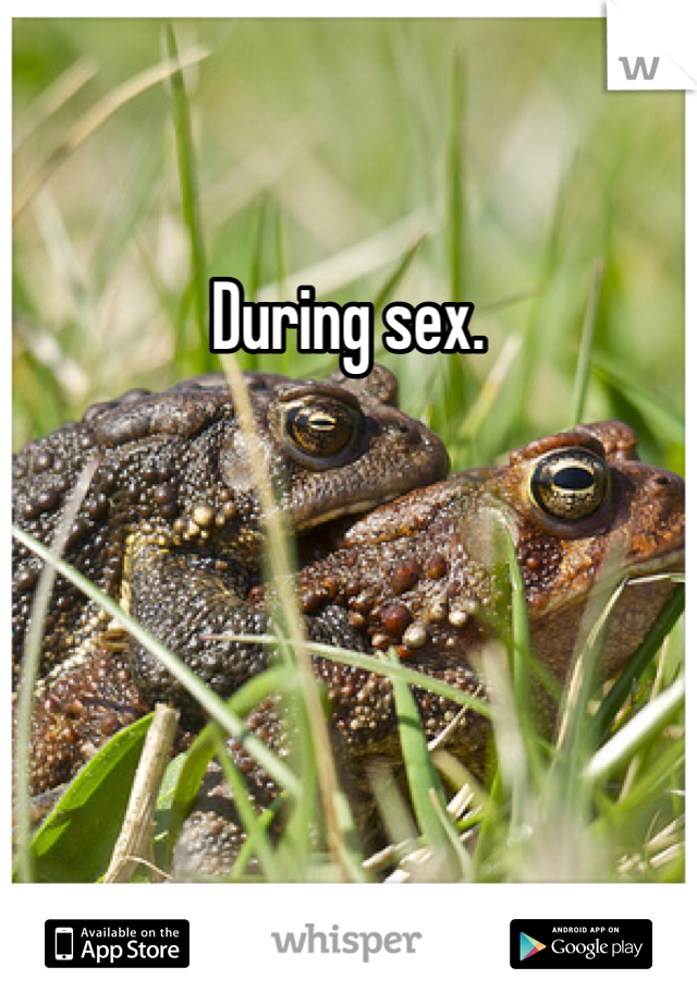 During sex.