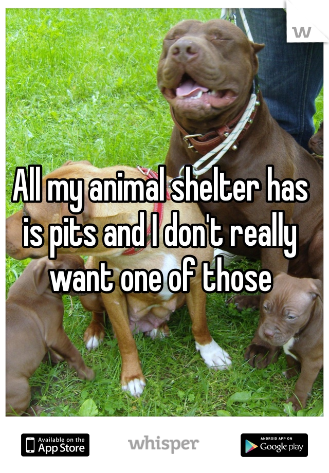 All my animal shelter has is pits and I don't really want one of those 