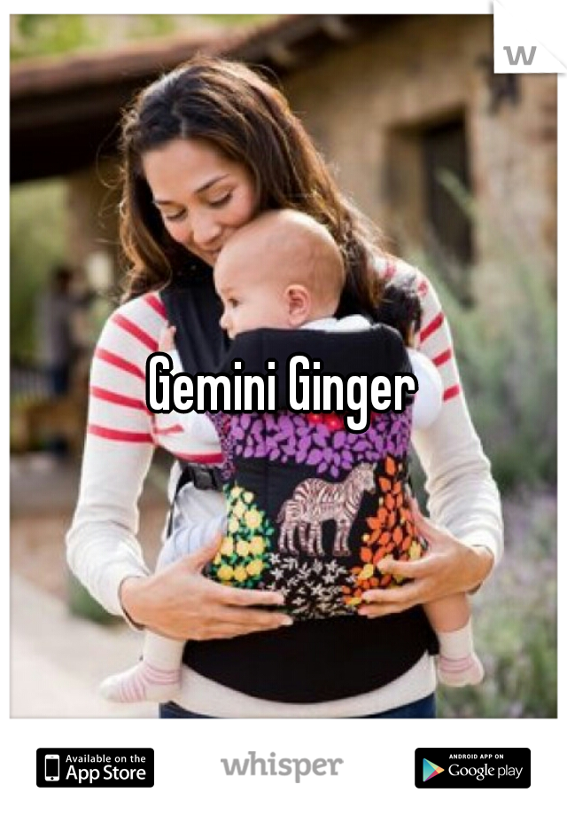 Gemini Ginger