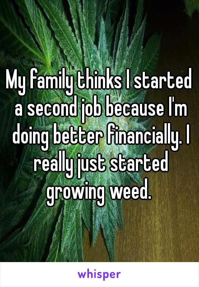 My family thinks I started a second job because I'm doing better financially. I really just started growing weed. 