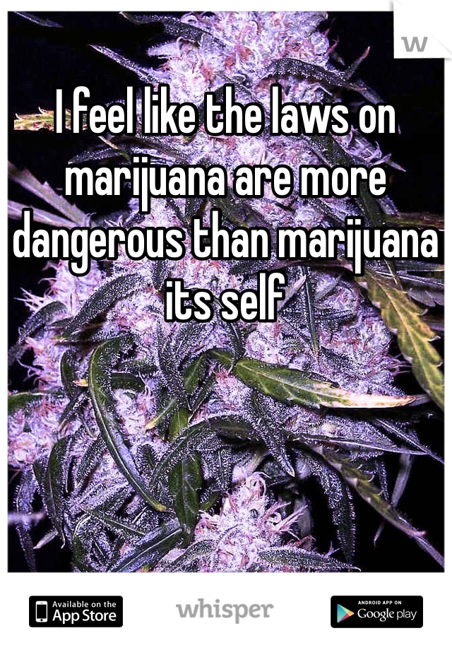 I feel like the laws on marijuana are more dangerous than marijuana its self 