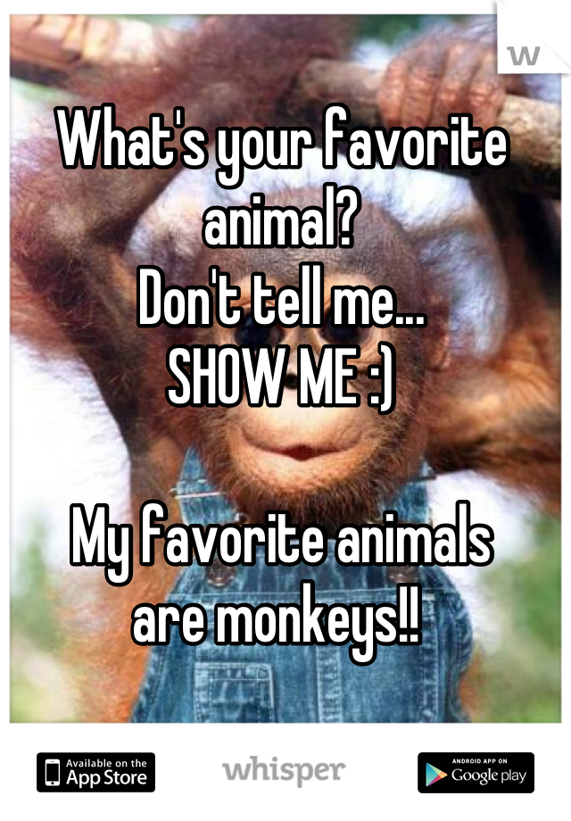 What's your favorite animal?
Don't tell me...
SHOW ME :)

My favorite animals 
are monkeys!! 