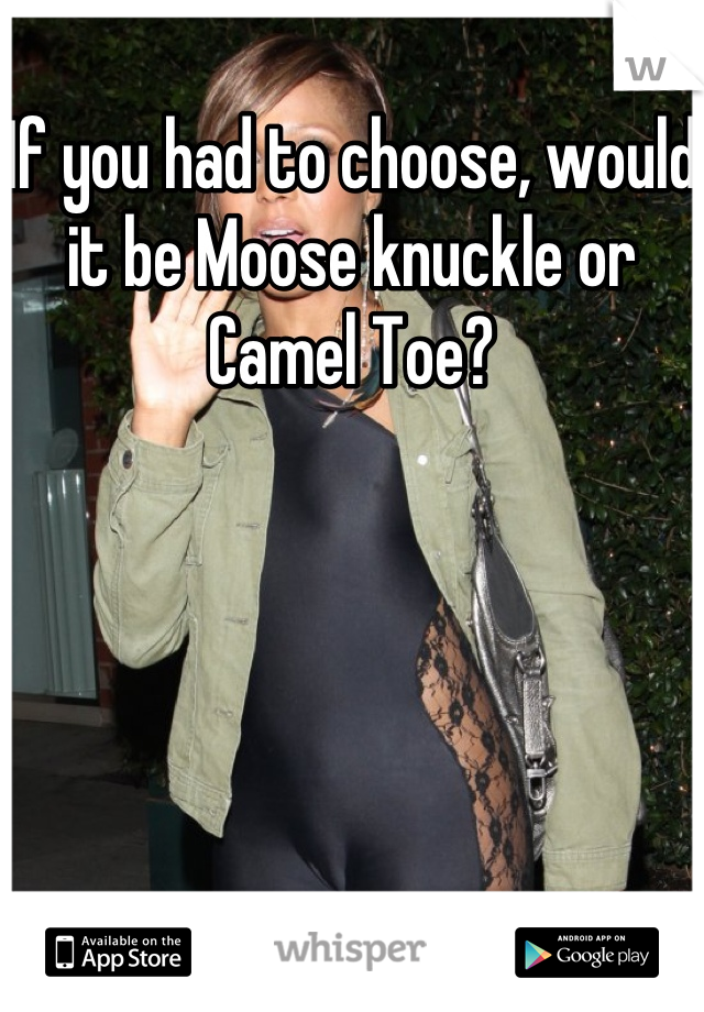 If you had to choose, would it be Moose knuckle or Camel Toe?