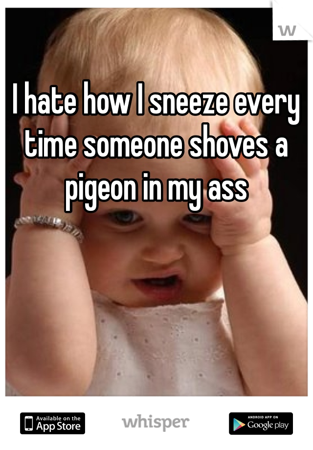 I hate how I sneeze every time someone shoves a pigeon in my ass